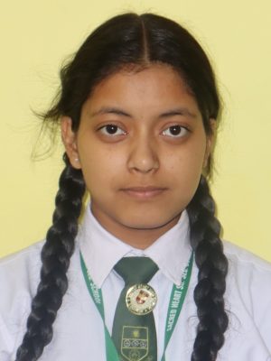 PARUL ROHIT 92% PARUL ROHIT 92%
